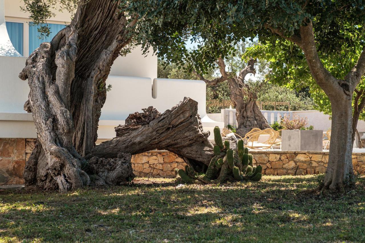Villa Al Mare Sea, Relax & Wellness Monopoli Ngoại thất bức ảnh